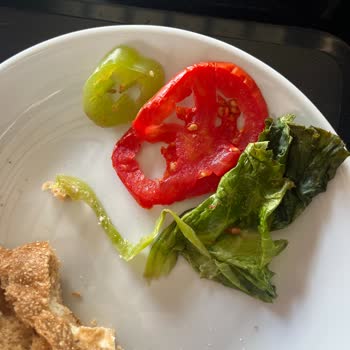 Starbucks'ta Sürekli Bayat Sandviç Sorunu Ve Kalıcı Çözüm Talebi