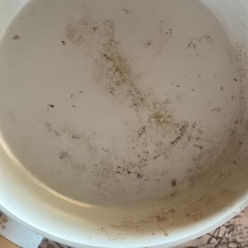 Karaca Züccaciye Swiss Criss Almond Tava Kısa Sürede Kullanılamaz Hale Geldi, Servis Destek Vermiyor