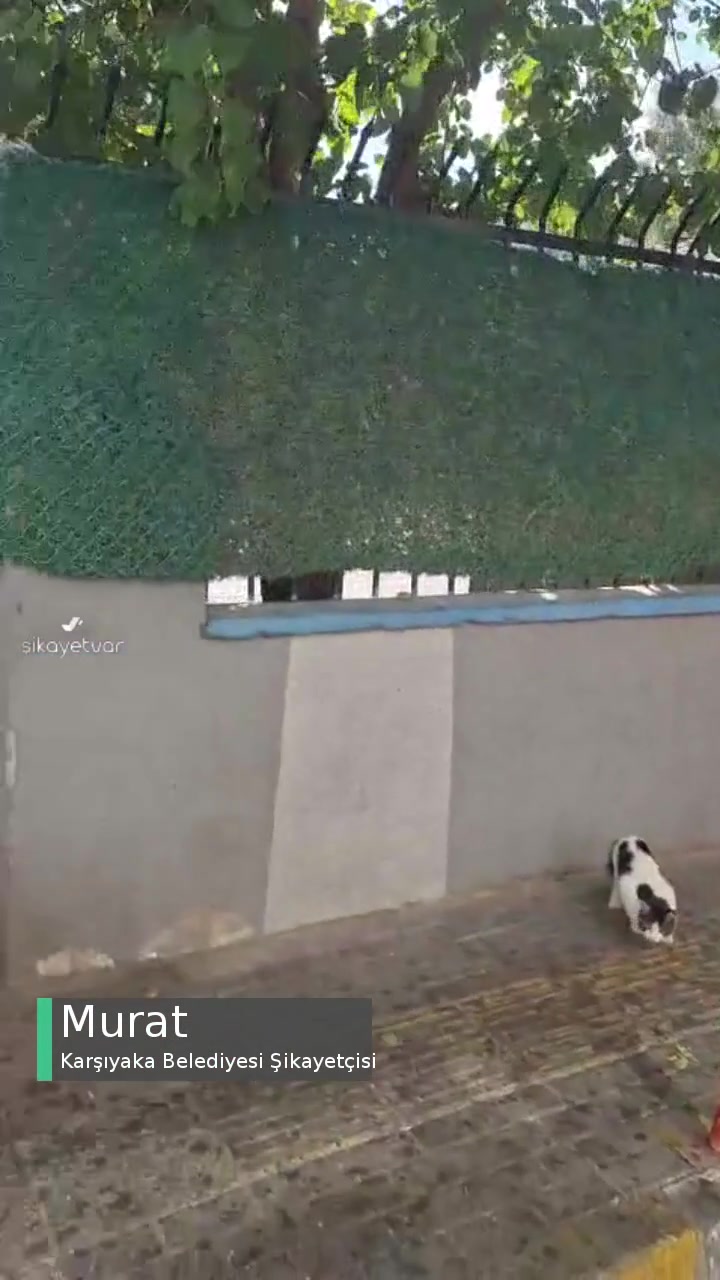 Karşıyaka Belediyesi Toplanmayan Çöpler, Çözümsüzlük Üzerine Kurulu Bir Belediyecilik! videonun kapak resmi