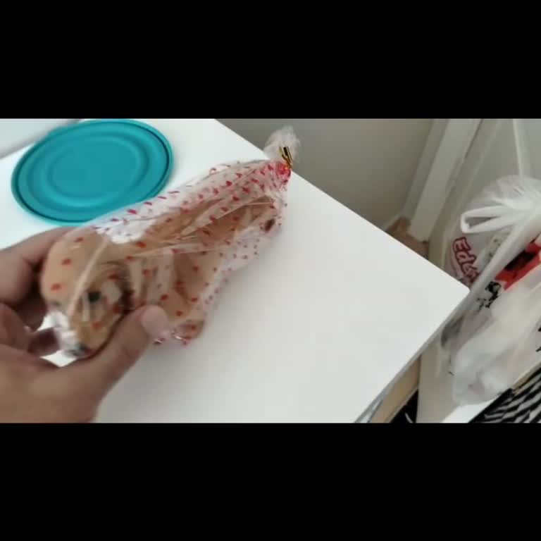 Büyük Boy Robot Köpek Yerine Kartondan Peluş Gönderildi