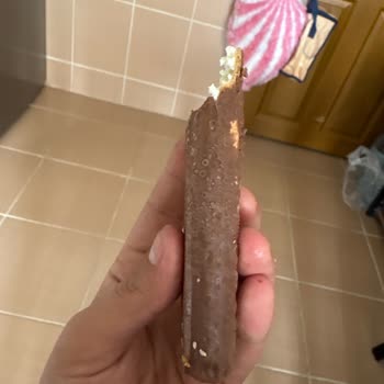 Sarelle Orman Meyveli Üründe Beyaz Lekeler Ve Yetersiz Mağaza Desteği