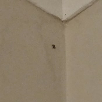 İade Edilmeyen Kapora Ve İletişim Sorunu