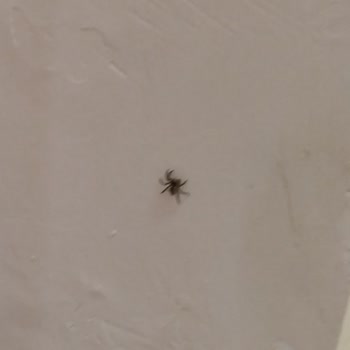 İade Edilmeyen Kapora Ve İletişim Sorunu