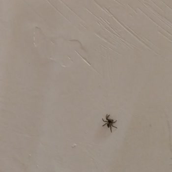 İade Edilmeyen Kapora Ve İletişim Sorunu