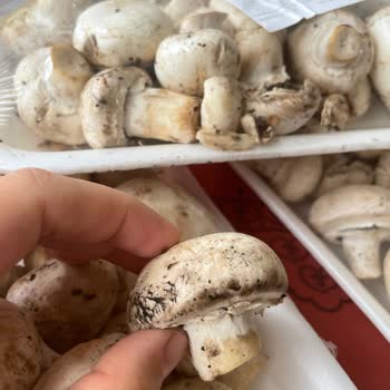 Trendyol GO Market'ten Gelen Bozuk Ve Çürük Ürünler İçin Para İadesi Talebim