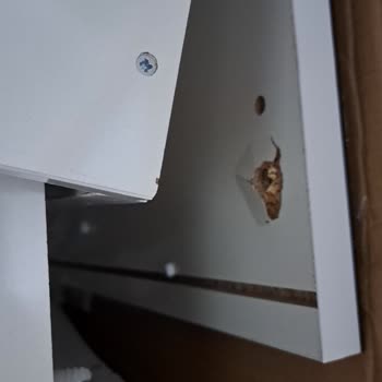 Teslim Edilen Mobilyalarda Kusur Ve Sürekli Geciken Çözüm Süreci