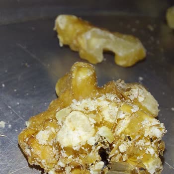 Aldığım Ceviz İçinden Güve Kelebeği Çıktı, Sağlığım Tehlikede