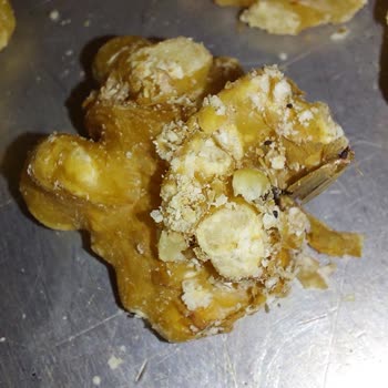 Aldığım Ceviz İçinden Güve Kelebeği Çıktı, Sağlığım Tehlikede