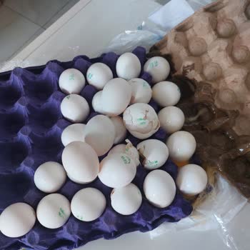 Kırık Yumurta Teslimatı Sonrası Müşteri Hizmetlerinden Dönüş Alamadım