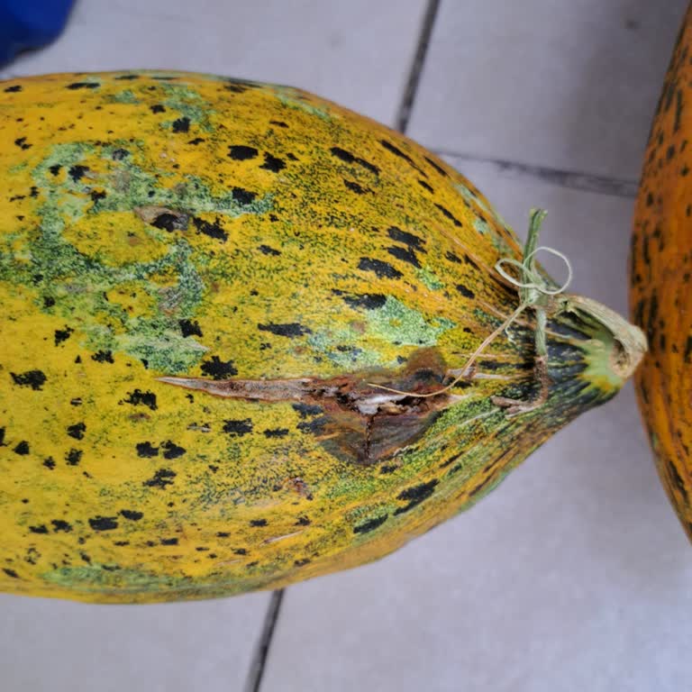 Migros Sanal Market'te Siparişlerim Zamanında Ve Eksiksiz Teslim Edilmedi