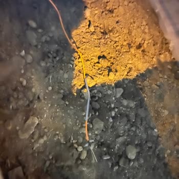 Türk Telekom Bir Haftadır Süren Fiber Kesintisi: Hizmet Yok, Fatura Var!