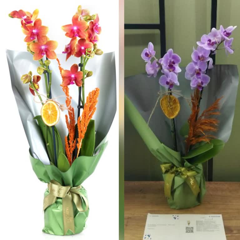 Siparişimde Farklı Çiçek Gönderildi Görsel Paylaşılmadı Açıklama Yapılmadı