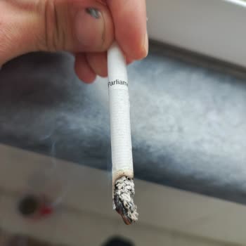 Philip Morris Parliament, encuentro ramas gruesas en cigarrillos