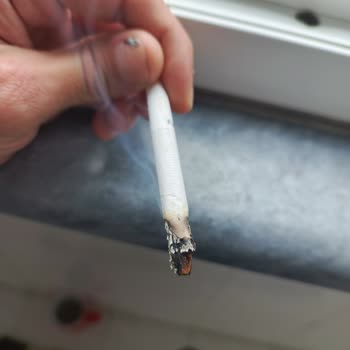 Philip Morris Parliament, encuentro ramas gruesas en cigarrillos