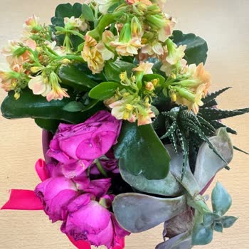 Solmuş Ve Çürümüş Çiçeklerle Hayal Kırıklığı Yaşadım