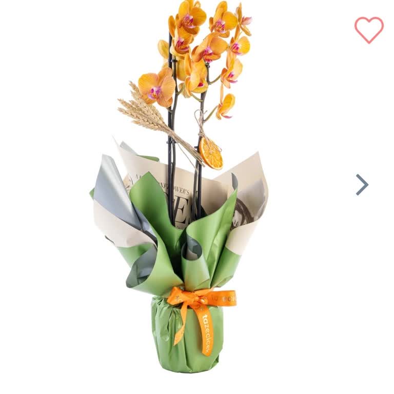 Seçtiğim Çiçek Yerine Farklı Ürün Onaylatıldı, Seçim Hakkım Kısıtlandı