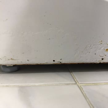 Bosch Çamaşır Makinemde Küflenme Ve Çürüme Sorunu, Garanti Kapsamında Çözülmüyor