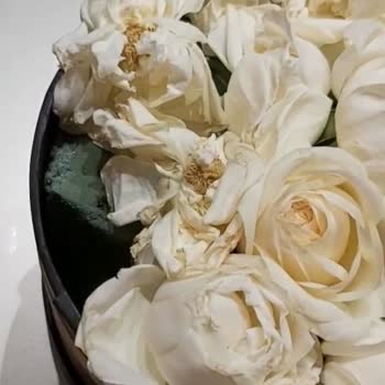 Siparişim Geç Teslim Edildi Çiçekler Solmuş Ve Eksikti Müşteri Hizmeti Yanıt Vermedi