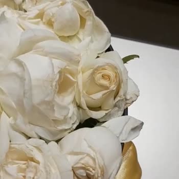 Siparişim Geç Teslim Edildi Çiçekler Solmuş Ve Eksikti Müşteri Hizmeti Yanıt Vermedi