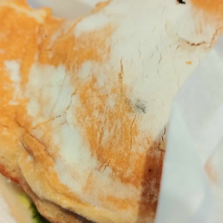 Burger Kingde Küflü Hamburger Ekmeğiyle Karşılaştım