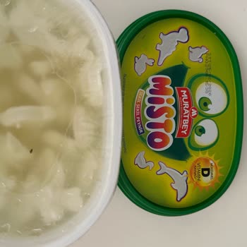 Peynirin İçinde Sinek Buldum Hijyen Ve Sağlık Konusunda Endişeliyim