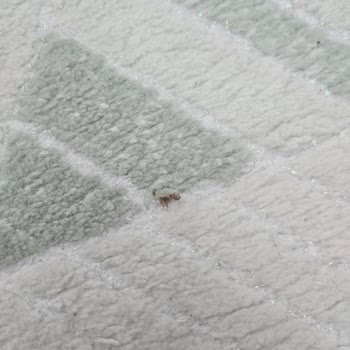 Yıkanmadan Teslim Edilen Halı Ve Storlar İçin Çözüm Bekliyorum