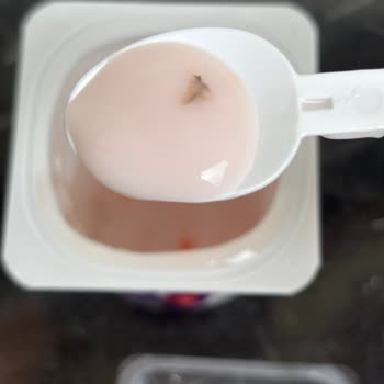 Aldığım Yoğurttan Böcek Çıktı Açıklama Bekliyorum