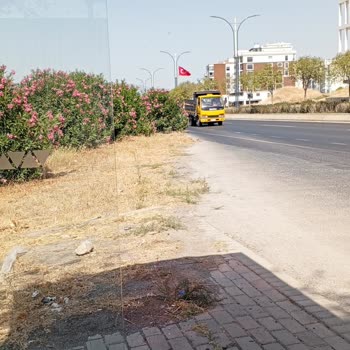 Ulukent Trafo Durağında Zakkumlar Yüzünden Otobüsleri Göremiyoruz Güvenli Geçiş Yok