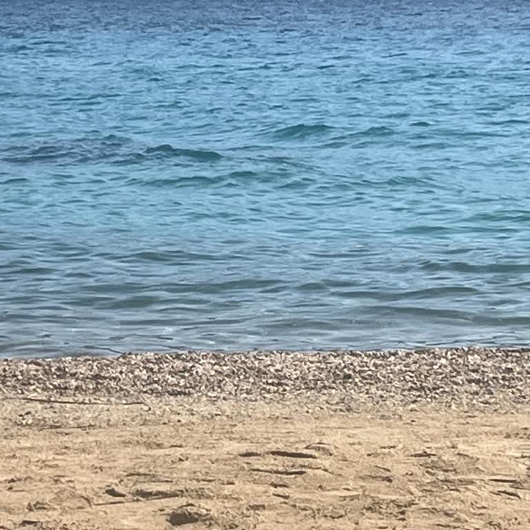 Vaat Edilen Tatil Hizmetleri Sağlanmadı, Ücret İadesi Talep Ediyorum