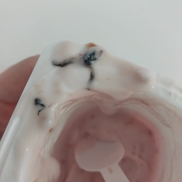 Satın Alınan Yoğurttan Sinek Çıkması Ve Hijyen Sorunu