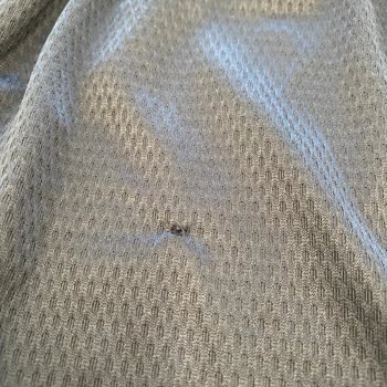 İlk Kullanımda Şortta Deformasyon Mağaza Değişim Talebimi Reddetti