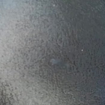 Bellona Valencia Koltuk Takımı'nda Dikiş Ve Döşeme Sorunları, Yetersiz Servis Ve Montaj Ekibi Mağduriyeti