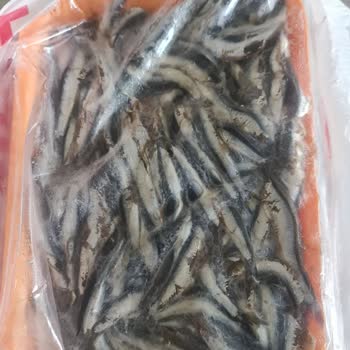 Sipariş Edilen Hamsinin Eksik Ve Kalitesiz Teslim Edilmesi