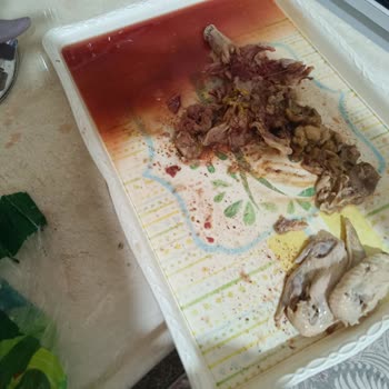 Migros’tan Aldığım Tavuk Temizlenmemiş Ve Kötü Kokuyordu