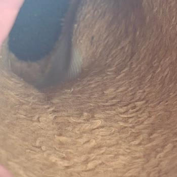 Aldığım Ayakkabı Beklediğimden Çok Daha Yıpranmış Çıktı