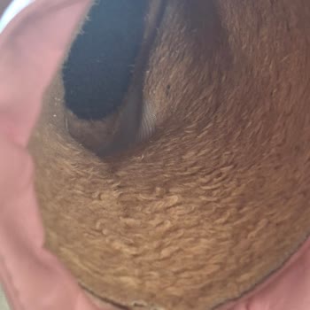 Aldığım Ayakkabı Beklediğimden Çok Daha Yıpranmış Çıktı