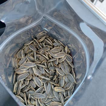 Aynı Şubeden Tekrar Bayat Ve Kalitesiz Ay Çekirdeği Almak Canımı Sıktı