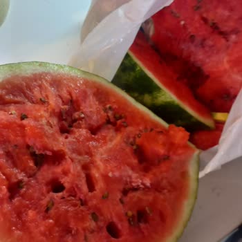 Migros'tan Aldığım Karpuz Bozuk Çıktı, Ücret İadesi Ve Özür Bekliyorum