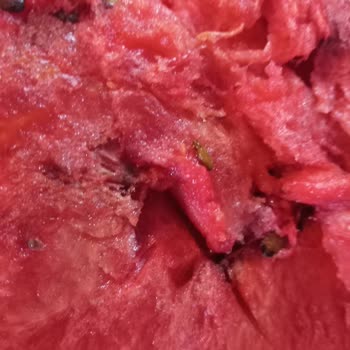 Migros'tan Aldığım Karpuz Bozuk Çıktı, Ücret İadesi Ve Özür Bekliyorum