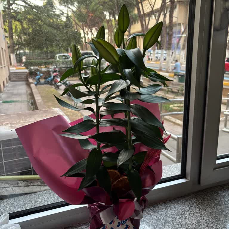 Siparişin Görselden Farklı Hazırlanması Ve Teslimat Sorunu