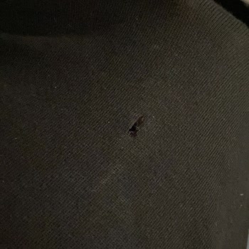 Yeni Alınan Çamaşır Makinesi Kıyafetlerimi Yırtıyor, Çözüm Bekliyorum