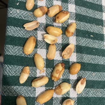 Bayat Ve Acı Fıstık İçin Ücret İadesi Talebi