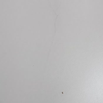 Hasarlı Çamaşır Makinesi İadesi İçin Horoz Lojistik Günlerdir Ürünü Almıyor