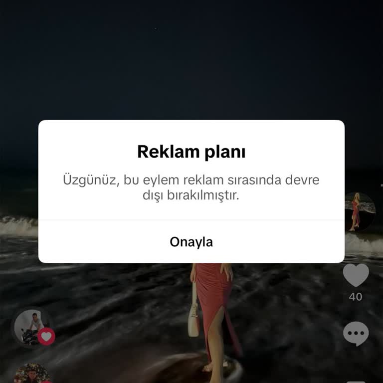 TikTokta Reklam Planı Nedeniyle Videomu Silemiyorum