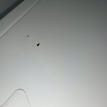 Garanti Kapsamındaki Buzdolabımda Paslanma Ve Raf Eğilmesi Sorunu Çözülmüyor