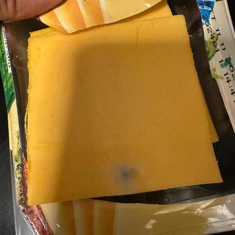 Son Kullanma Tarihi Geçmemiş Peynirde Küf Şoku Ve Hayal Kırıklığı