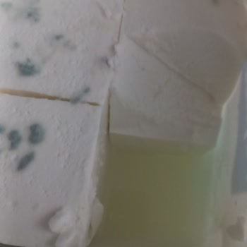 Taze Olması Gereken Peynir 6 Günde Küflendi, Mağduriyetim Giderilmiyor!