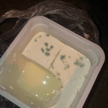 Taze Olması Gereken Peynir 6 Günde Küflendi, Mağduriyetim Giderilmiyor!