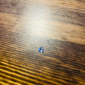 Çerezya Fındık İçinden Cam Parçası Çıktı: Sağlık Riski Ve Güven Sorunu