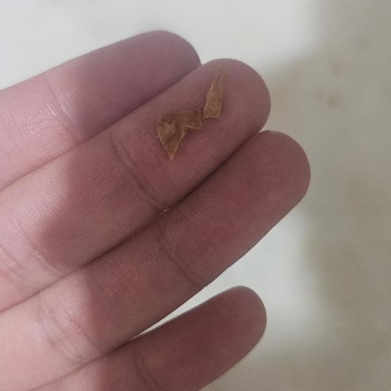 Cevizli Helvada Ceviz Kabuğu Çıktı, Dişim Kırılacaktı